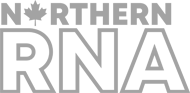 Northern RNA